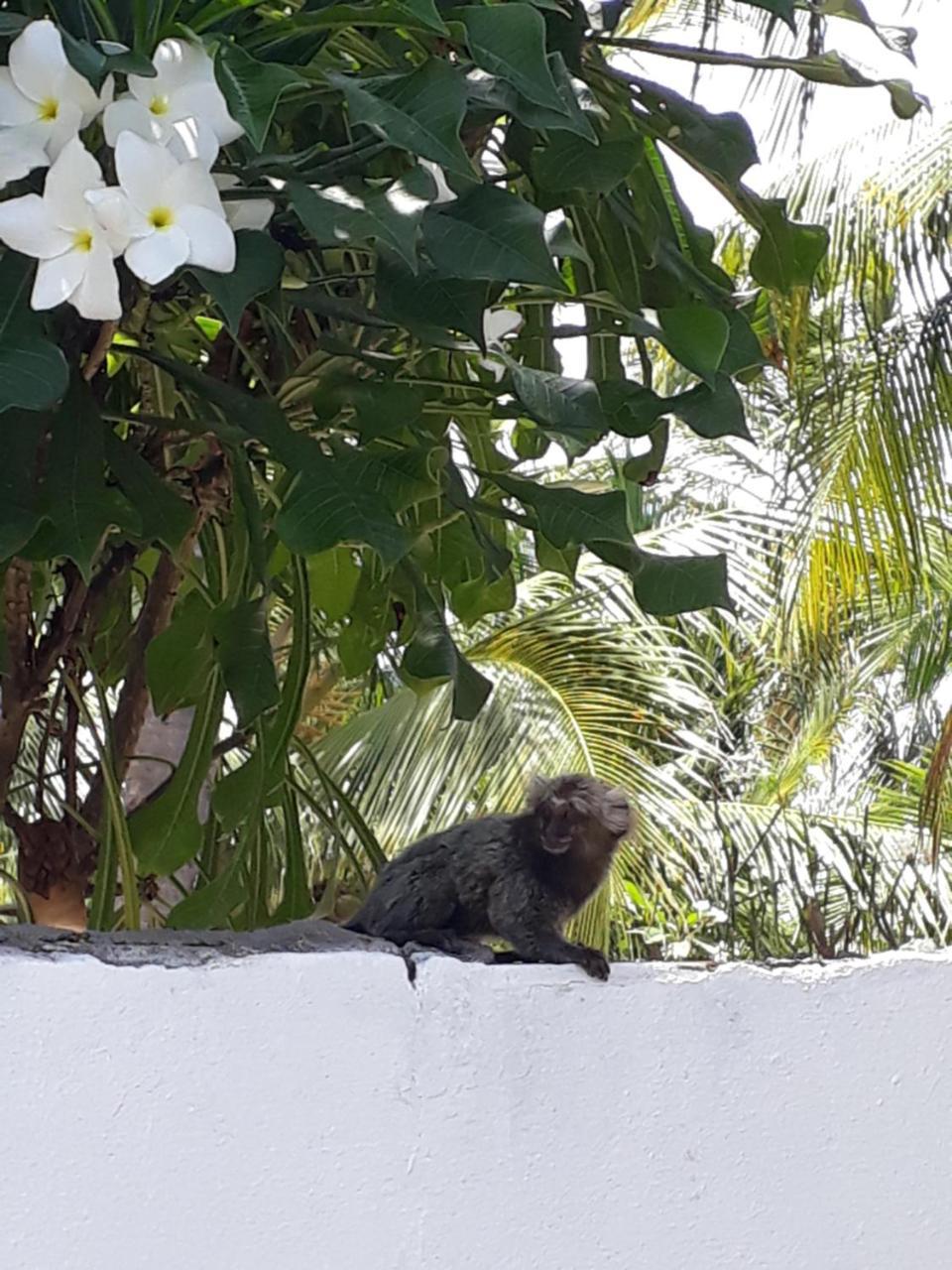 Pousada Caribe Nordestino Tamandare Luaran gambar