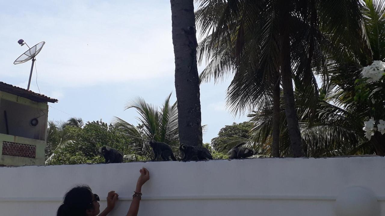 Pousada Caribe Nordestino Tamandare Luaran gambar